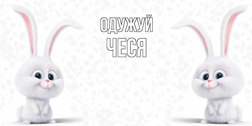 Открытка на каждый день з підписом, Чеся Одужуй не болей с зайцем Прикольна листівка з побажанням онлайн скачати безкоштовно 