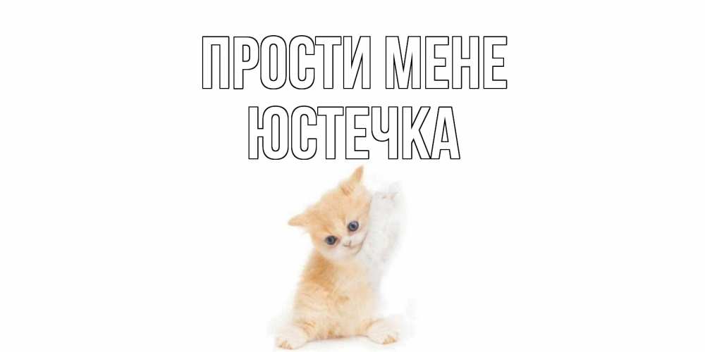 Открытка на каждый день з підписом, Юстечка Прости мене кот Прикольна листівка з побажанням онлайн скачати безкоштовно 