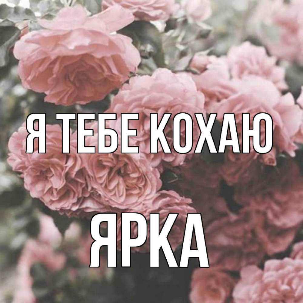 Открытка на каждый день з підписом, Ярка Я тебе кохаю розы 3 Прикольна листівка з побажанням онлайн скачати безкоштовно 