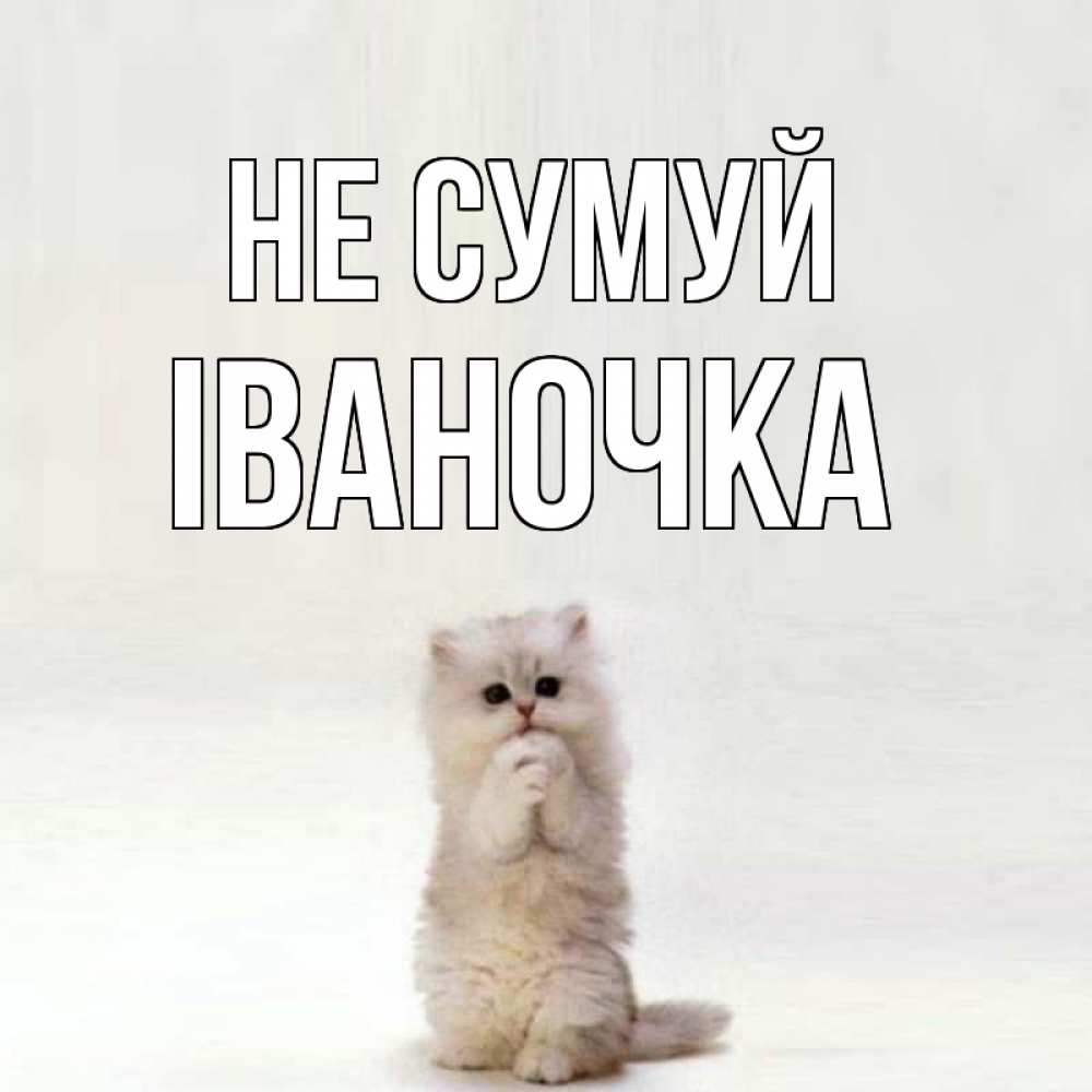 Открытка на каждый день з підписом, Іваночка Не сумуй грустный кот Прикольна листівка з побажанням онлайн скачати безкоштовно 