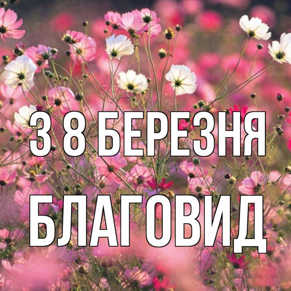 Открытка на каждый день з підписом, Благовид З 8 БЕРЕЗНЯ красиво 1 Прикольна листівка з побажанням онлайн скачати безкоштовно 