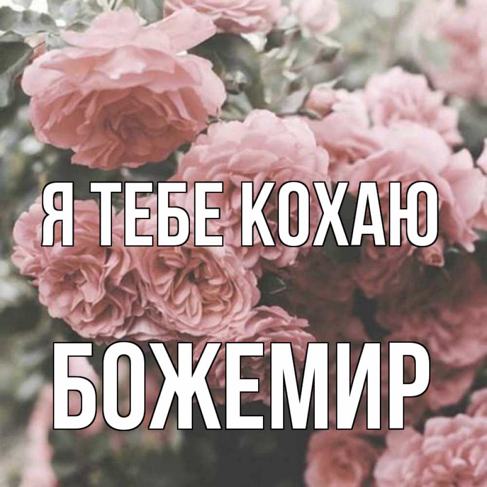 Открытка на каждый день з підписом, Божемир Я тебе кохаю розы 3 Прикольна листівка з побажанням онлайн скачати безкоштовно 