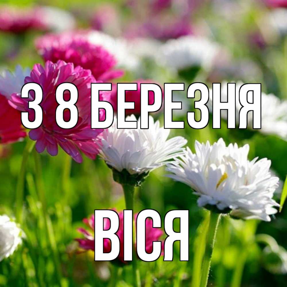 Открытка на каждый день з підписом, Віся З 8 БЕРЕЗНЯ международный женский день 1 Прикольна листівка з побажанням онлайн скачати безкоштовно 
