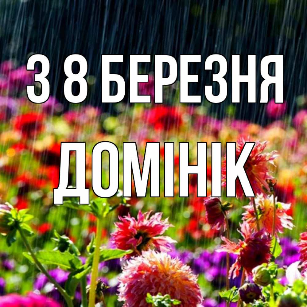 Открытка на каждый день з підписом, Домінік З 8 БЕРЕЗНЯ цветы под дождиком к международному женскому дню Прикольна листівка з побажанням онлайн скачати безкоштовно 