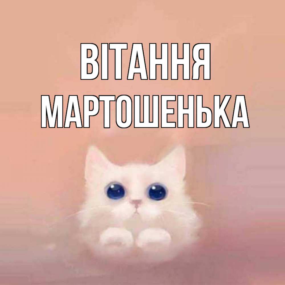 Открытка на каждый день з підписом, Мартошенька Вітання котик белый в полете Прикольна листівка з побажанням онлайн скачати безкоштовно 