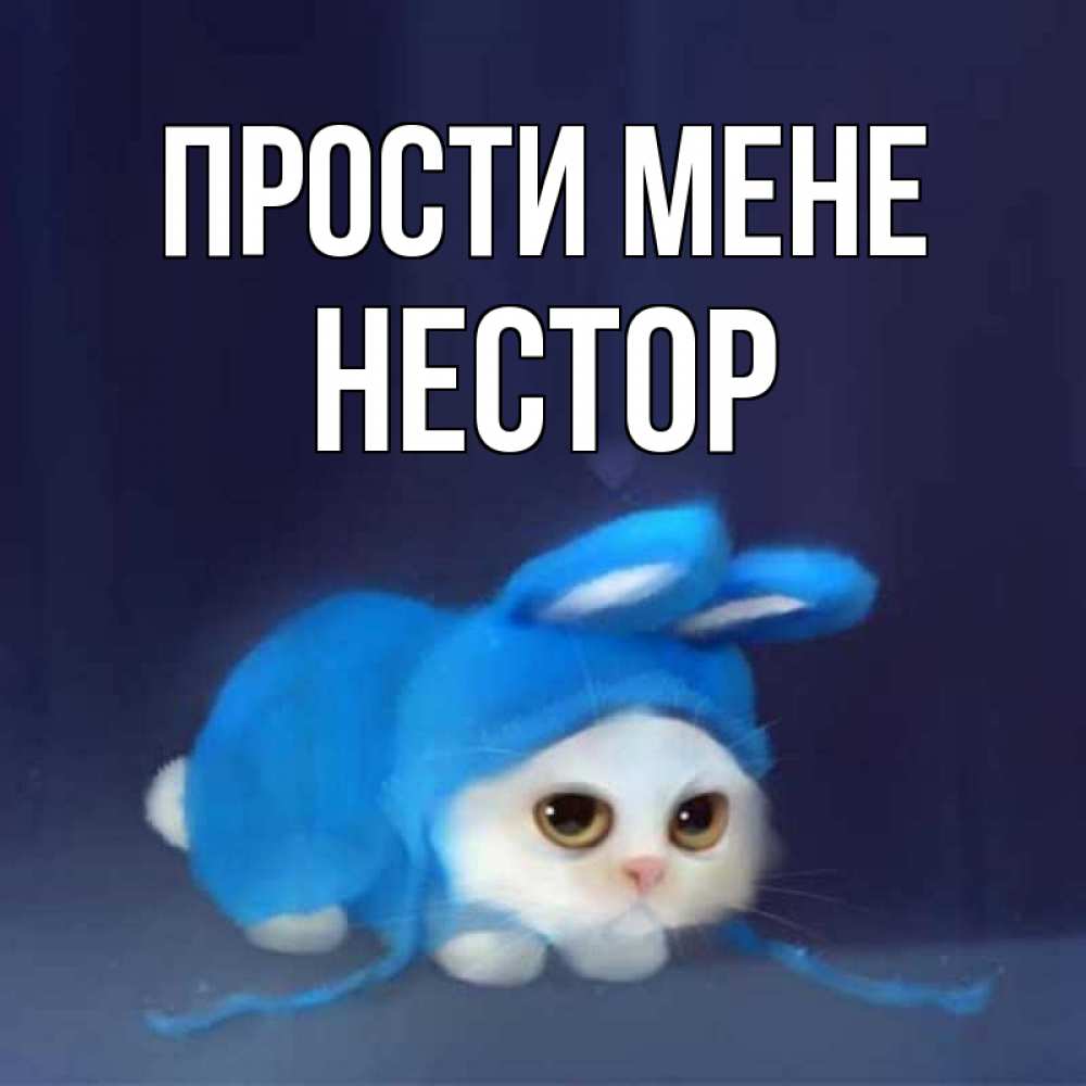 Открытка на каждый день з підписом, Нестор Прости мене невинный котозай просит прощения Прикольна листівка з побажанням онлайн скачати безкоштовно 