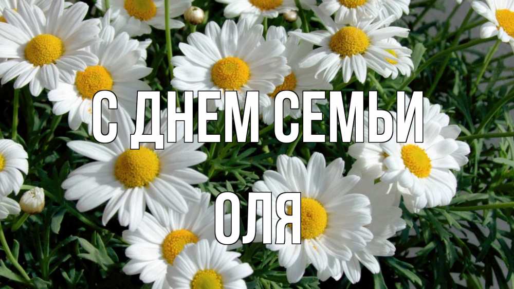 Открытка на каждый день з підписом, Оля С днем семьи с днем семьи Прикольна листівка з побажанням онлайн скачати безкоштовно 