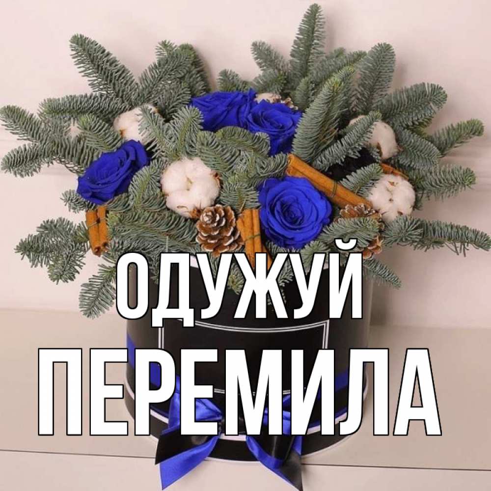 Открытка на каждый день з підписом, Перемила Одужуй короче кто то загрузил эти шишки Прикольна листівка з побажанням онлайн скачати безкоштовно 