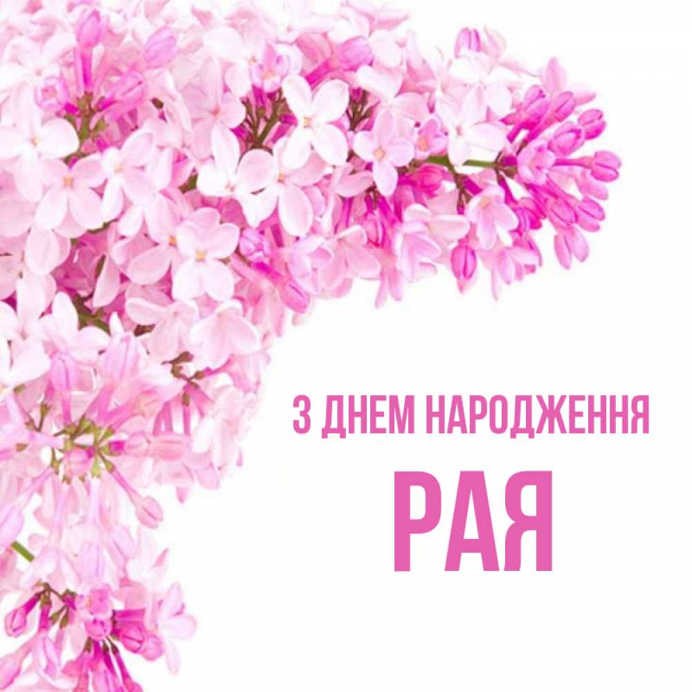 Открытка на каждый день з підписом, Рая З Днем народження Сирень на белом фоне Прикольна листівка з побажанням онлайн скачати безкоштовно 