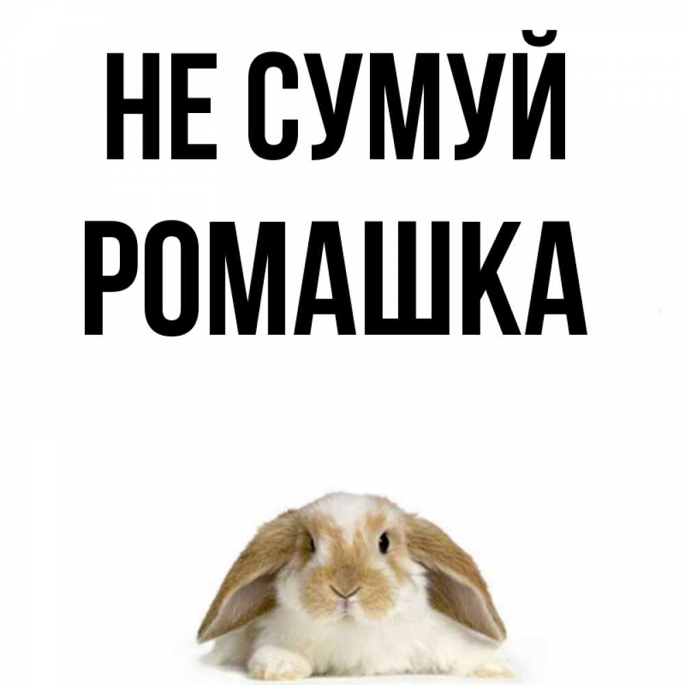Открытка на каждый день з підписом, Ромашка Не сумуй коричнево белый заяц с большими ушками Прикольна листівка з побажанням онлайн скачати безкоштовно 