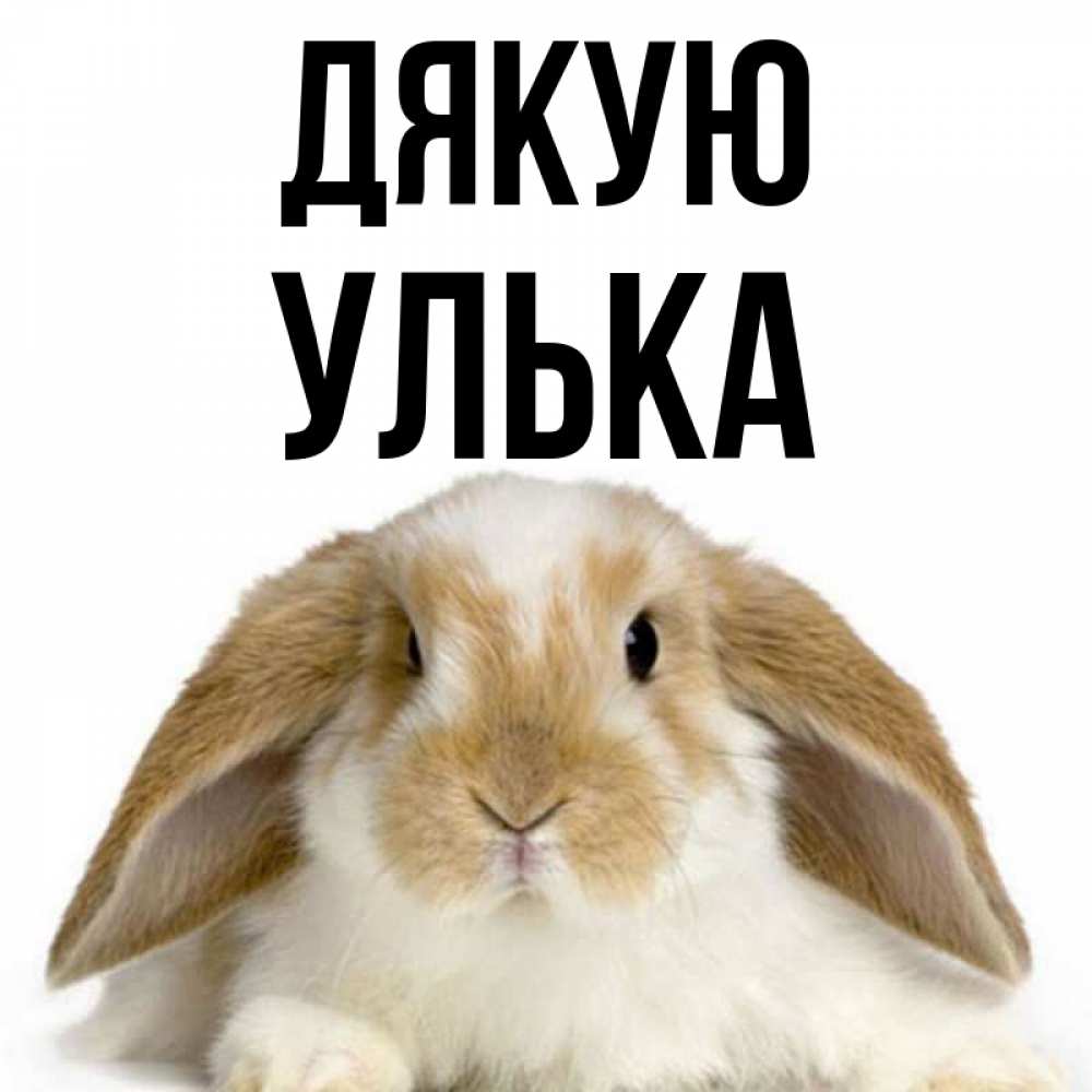 Открытка на каждый день з підписом, Улька Дякую коричнево белый заяц Прикольна листівка з побажанням онлайн скачати безкоштовно 