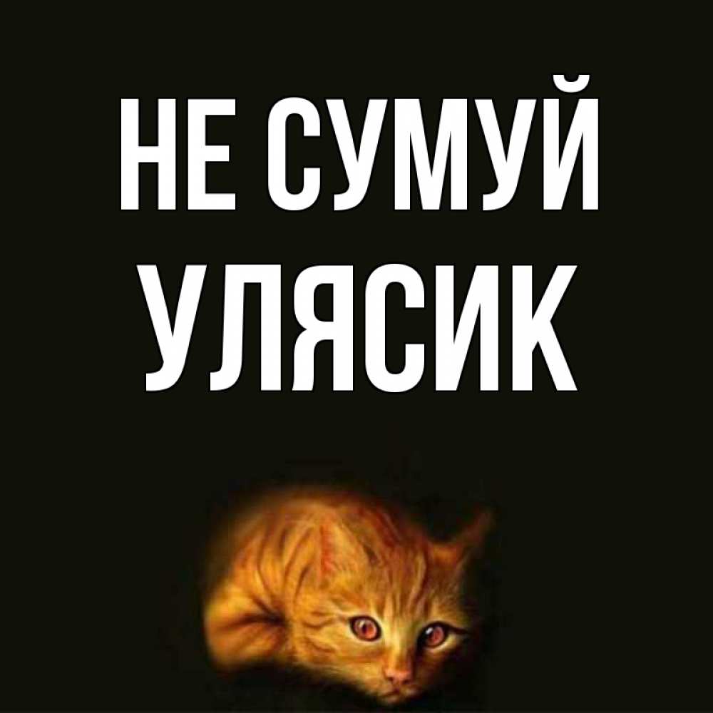 Открытка на каждый день з підписом, Улясик Не сумуй лежащий кот в темноте Прикольна листівка з побажанням онлайн скачати безкоштовно 