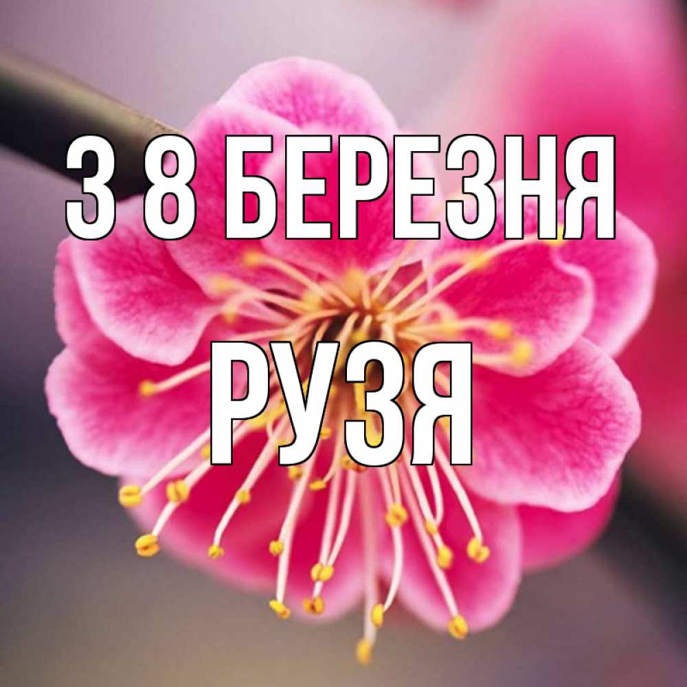 Открытка на каждый день з підписом, Рузя З 8 БЕРЕЗНЯ цветы Прикольна листівка з побажанням онлайн скачати безкоштовно 