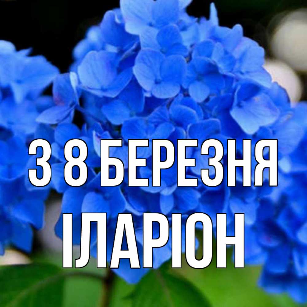 Открытка на каждый день з підписом, Іларіон З 8 БЕРЕЗНЯ синие цветы Прикольна листівка з побажанням онлайн скачати безкоштовно 