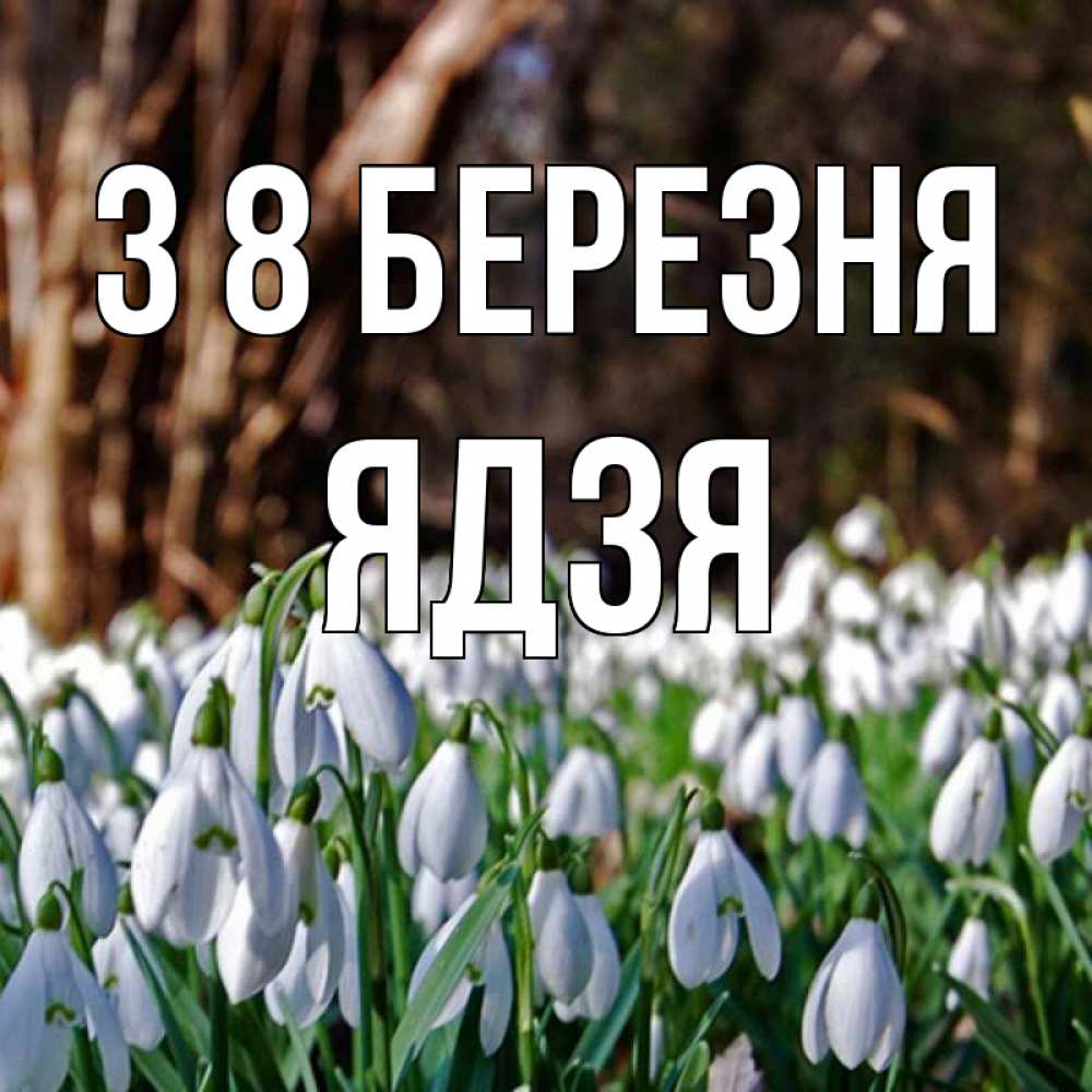 Открытка на каждый день з підписом, Ядзя З 8 БЕРЕЗНЯ с подснежниками 1 Прикольна листівка з побажанням онлайн скачати безкоштовно 