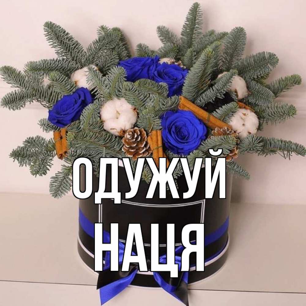 Открытка на каждый день з підписом, Наця Одужуй короче кто то загрузил эти шишки Прикольна листівка з побажанням онлайн скачати безкоштовно 