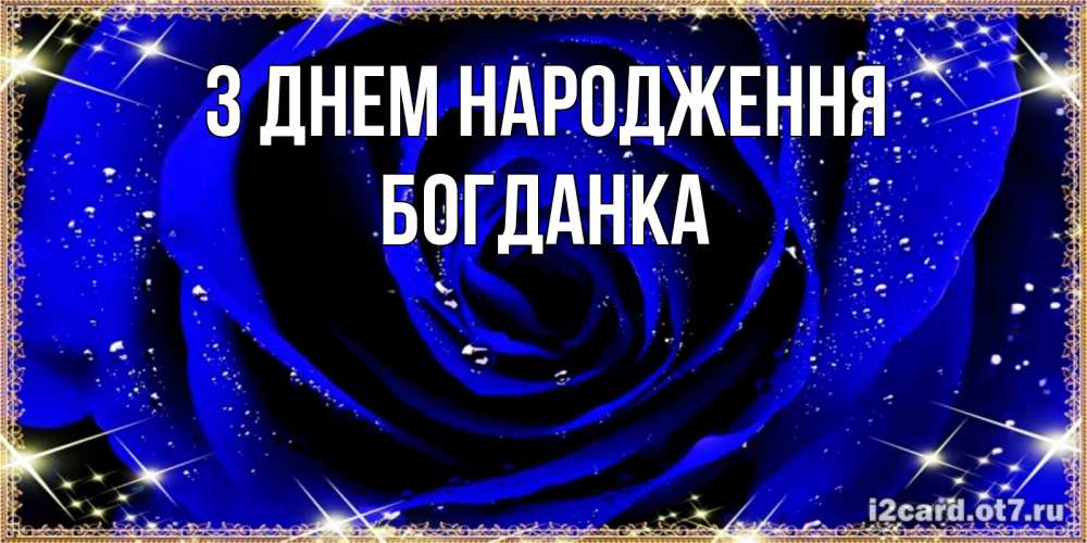 Открытка на каждый день з підписом, Богданка З Днем народження голубые цветы в росе Прикольна листівка з побажанням онлайн скачати безкоштовно 