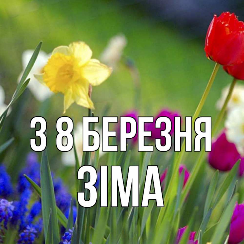 Открытка на каждый день з підписом, Зіма З 8 БЕРЕЗНЯ международный женский день 3 Прикольна листівка з побажанням онлайн скачати безкоштовно 