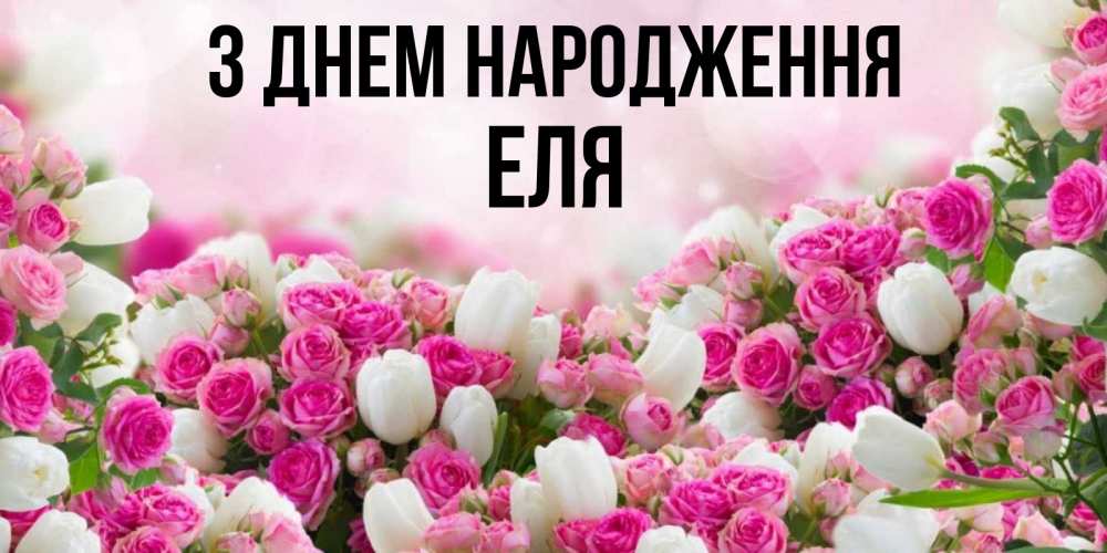 Открытка на каждый день з підписом, Еля З Днем народження открытка с разными розами Прикольна листівка з побажанням онлайн скачати безкоштовно 