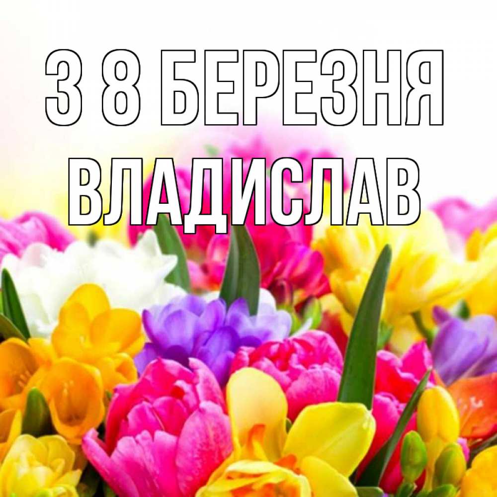 Открытка на каждый день з підписом, Владислав З 8 БЕРЕЗНЯ тюльпаны Прикольна листівка з побажанням онлайн скачати безкоштовно 