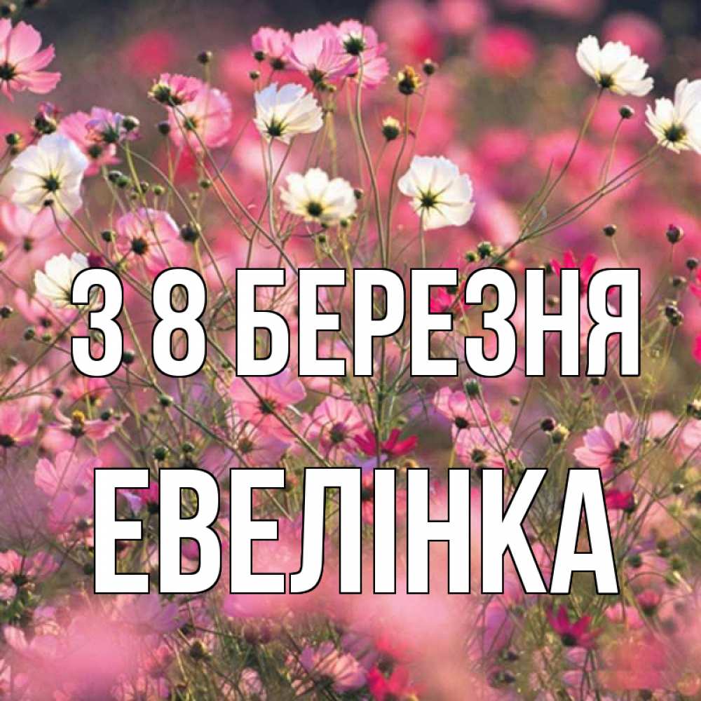 Открытка на каждый день з підписом, Евелінка З 8 БЕРЕЗНЯ красиво 1 Прикольна листівка з побажанням онлайн скачати безкоштовно 