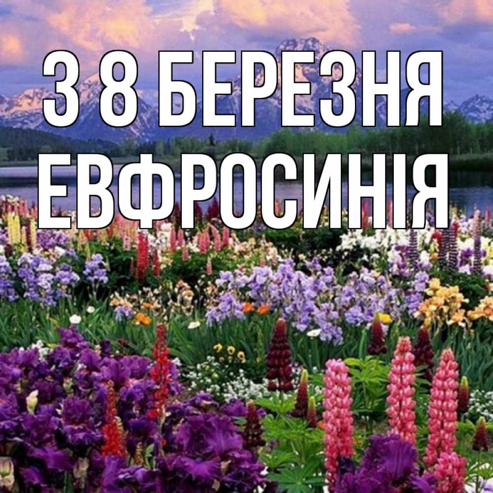 Открытка на каждый день з підписом, Евфросинія З 8 БЕРЕЗНЯ международный женский день Прикольна листівка з побажанням онлайн скачати безкоштовно 