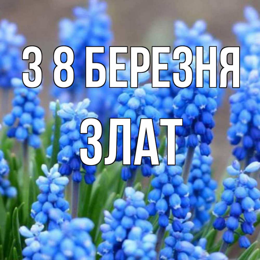 Открытка на каждый день з підписом, Злат З 8 БЕРЕЗНЯ Поздравительная открытка для женщин с цветами на праздничную дату Прикольна листівка з побажанням онлайн скачати безкоштовно 
