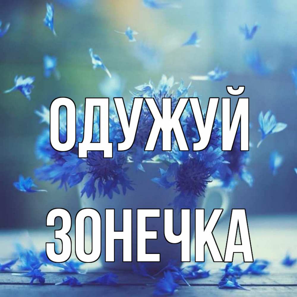Открытка на каждый день з підписом, Зонечка Одужуй кружка с зельем и цветами Прикольна листівка з побажанням онлайн скачати безкоштовно 