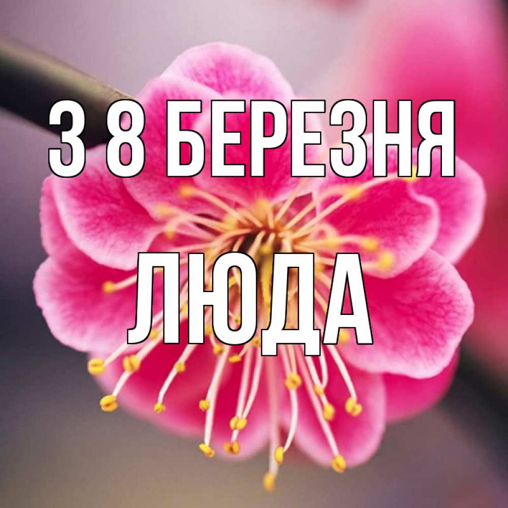 Открытка на каждый день з підписом, Люда З 8 БЕРЕЗНЯ цветы Прикольна листівка з побажанням онлайн скачати безкоштовно 