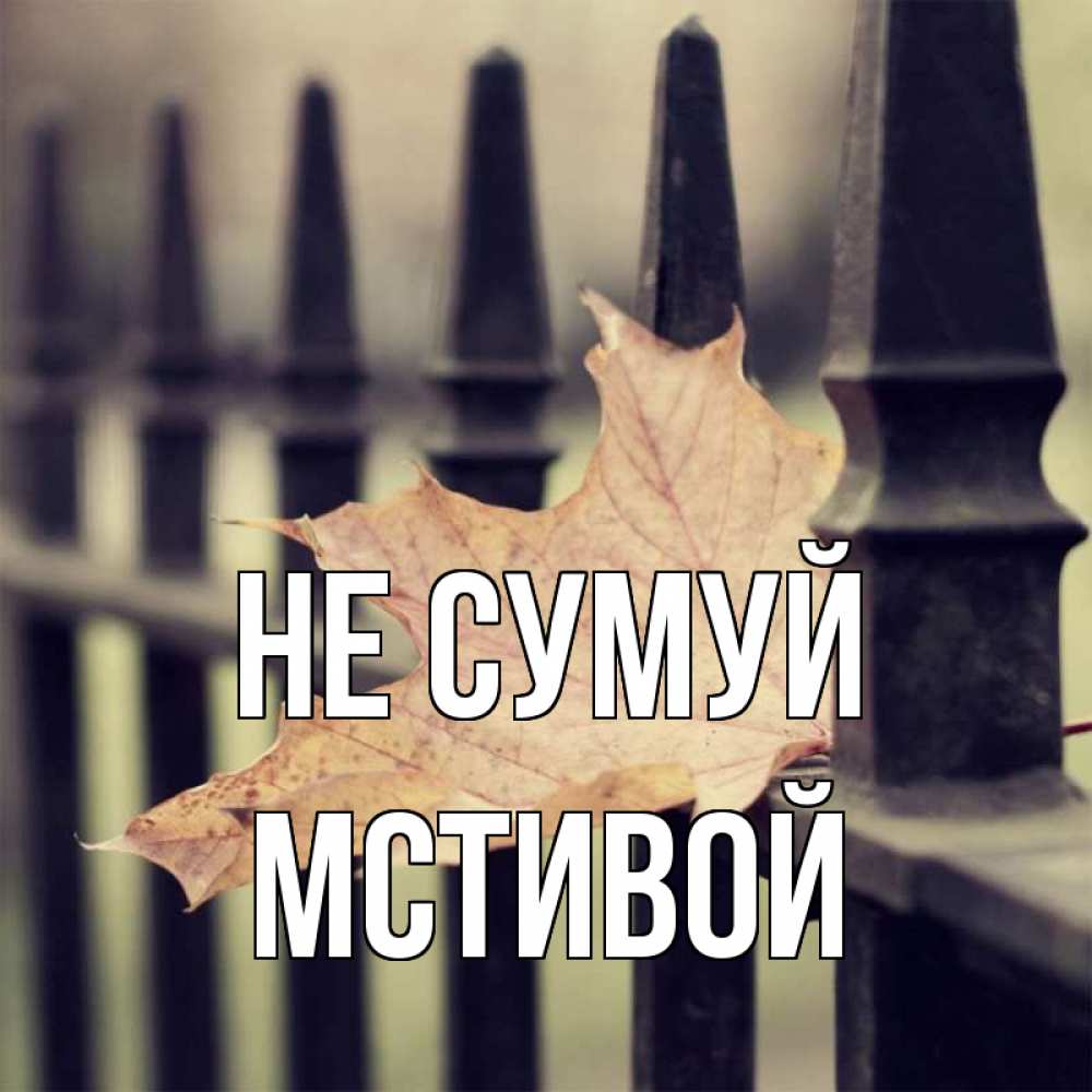 Открытка на каждый день з підписом, Мстивой Не сумуй лист клена Прикольна листівка з побажанням онлайн скачати безкоштовно 