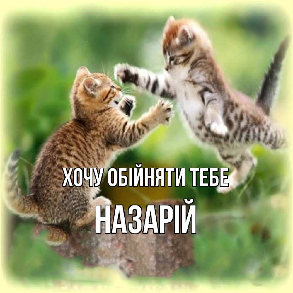 Открытка на каждый день з підписом, Назарій Хочу обійняти тебе игры котят Прикольна листівка з побажанням онлайн скачати безкоштовно 