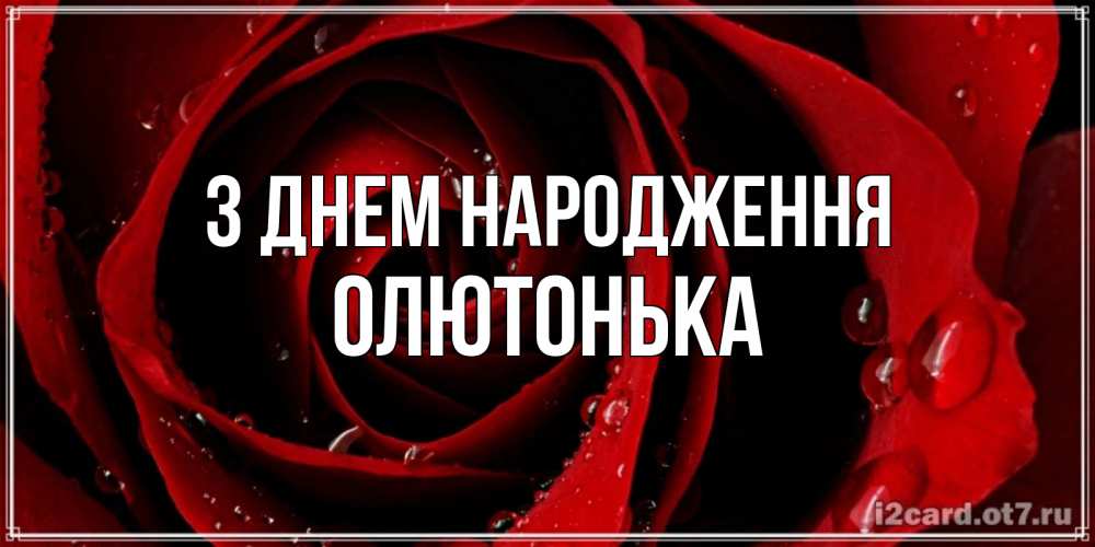 Открытка на каждый день з підписом, Олютонька З Днем народження крупная бордовая роза Прикольна листівка з побажанням онлайн скачати безкоштовно 