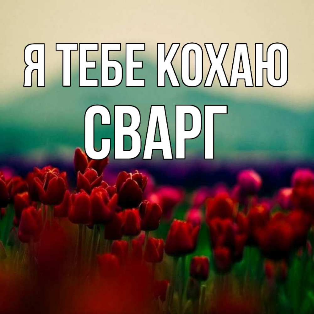 Открытка на каждый день з підписом, Сварг Я тебе кохаю тюльпаны 4 Прикольна листівка з побажанням онлайн скачати безкоштовно 