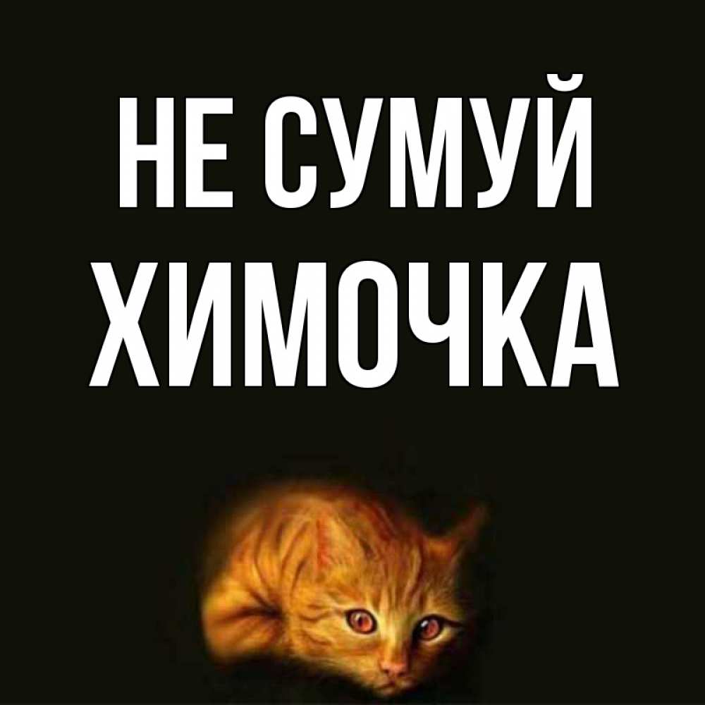 Открытка на каждый день з підписом, Химочка Не сумуй лежащий кот в темноте Прикольна листівка з побажанням онлайн скачати безкоштовно 