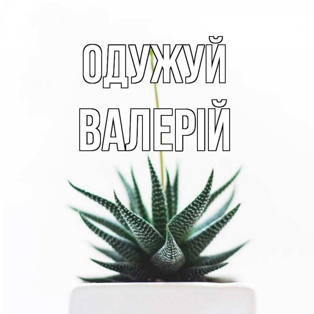 Открытка на каждый день з підписом, Валерій Одужуй короче это непонятная колючка Прикольна листівка з побажанням онлайн скачати безкоштовно 