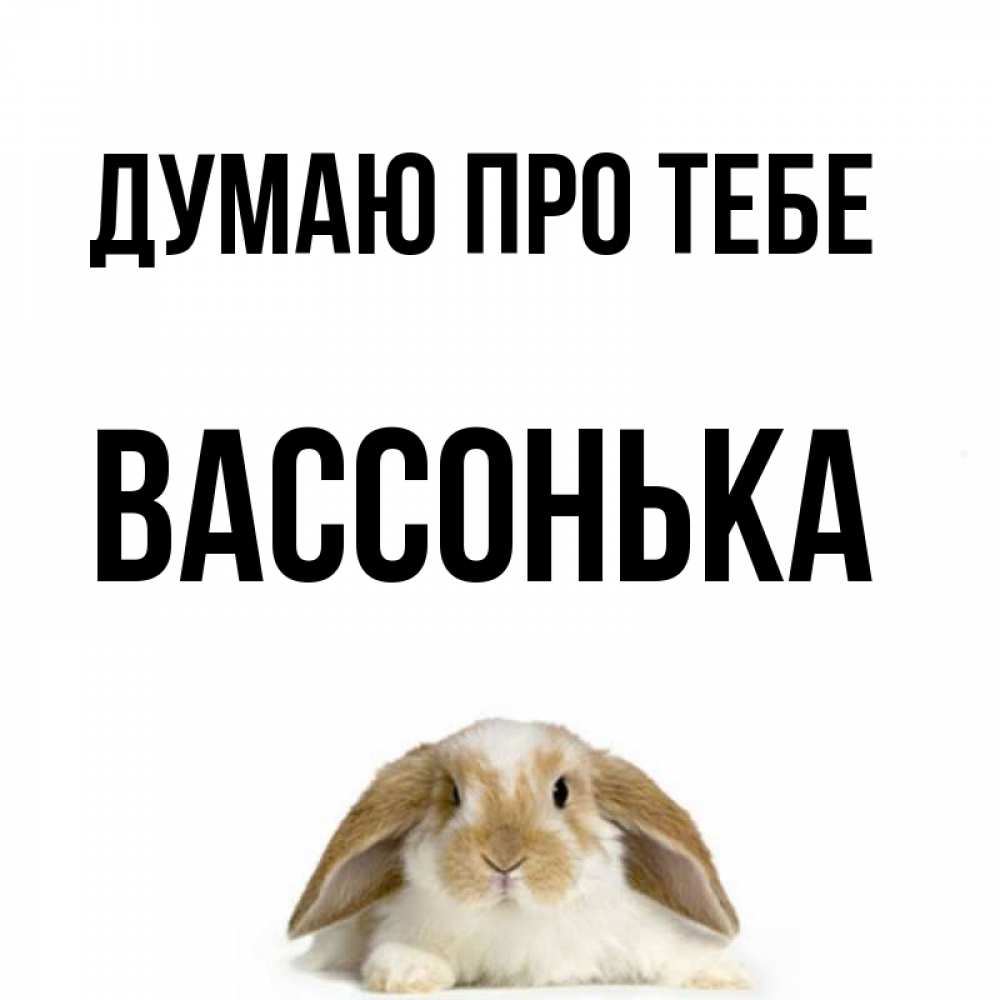 Открытка на каждый день з підписом, Вассонька Думаю про тебе подписать своими руками онлайн Прикольна листівка з побажанням онлайн скачати безкоштовно 