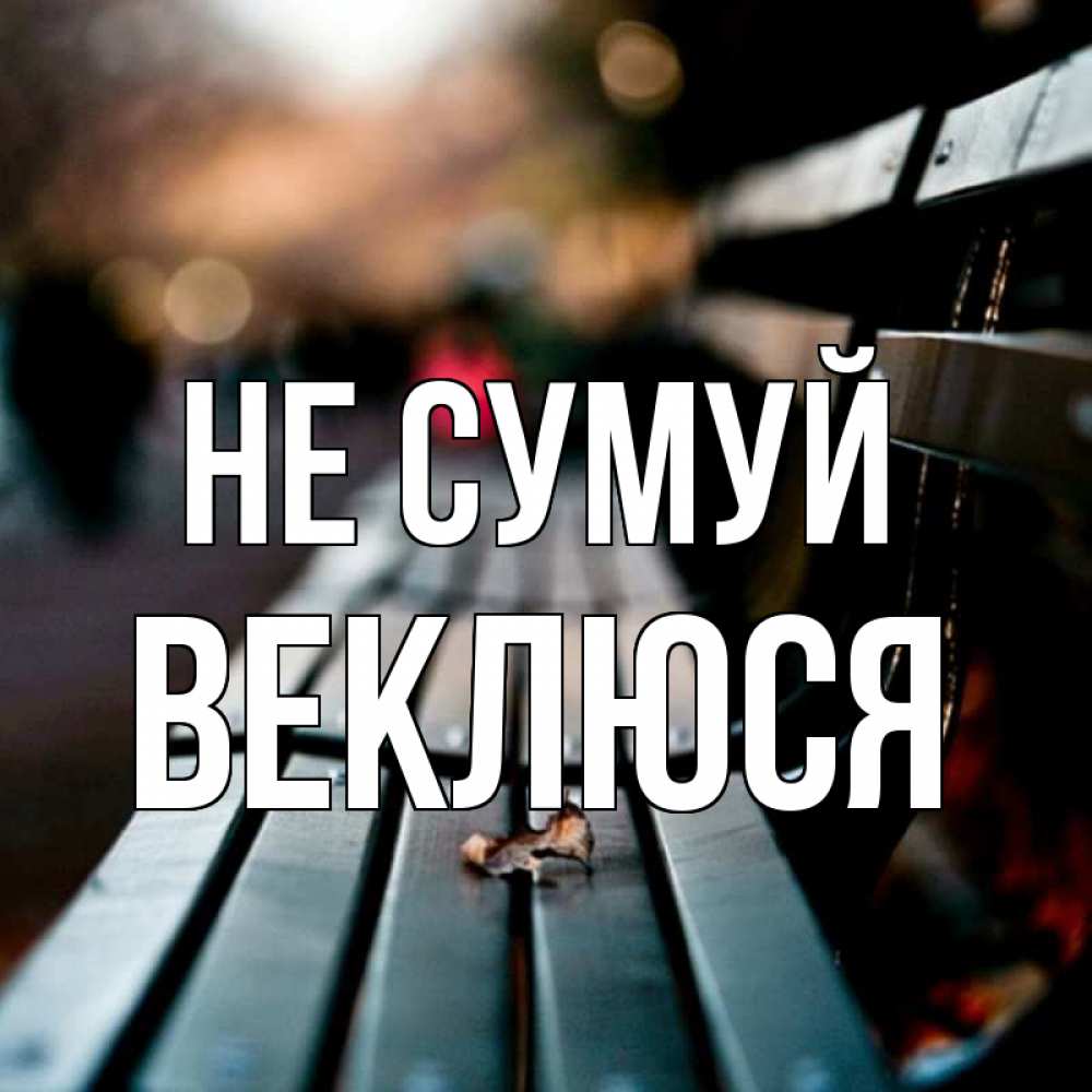 Открытка на каждый день з підписом, Веклюся Не сумуй размытый фон Прикольна листівка з побажанням онлайн скачати безкоштовно 