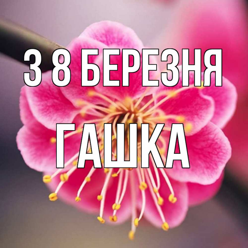 Открытка на каждый день з підписом, Гашка З 8 БЕРЕЗНЯ цветы Прикольна листівка з побажанням онлайн скачати безкоштовно 