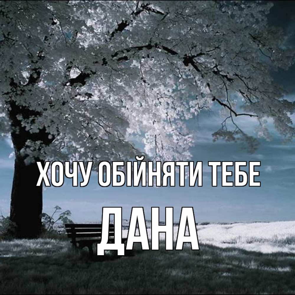 Открытка на каждый день з підписом, Дана Хочу обійняти тебе дерево Прикольна листівка з побажанням онлайн скачати безкоштовно 