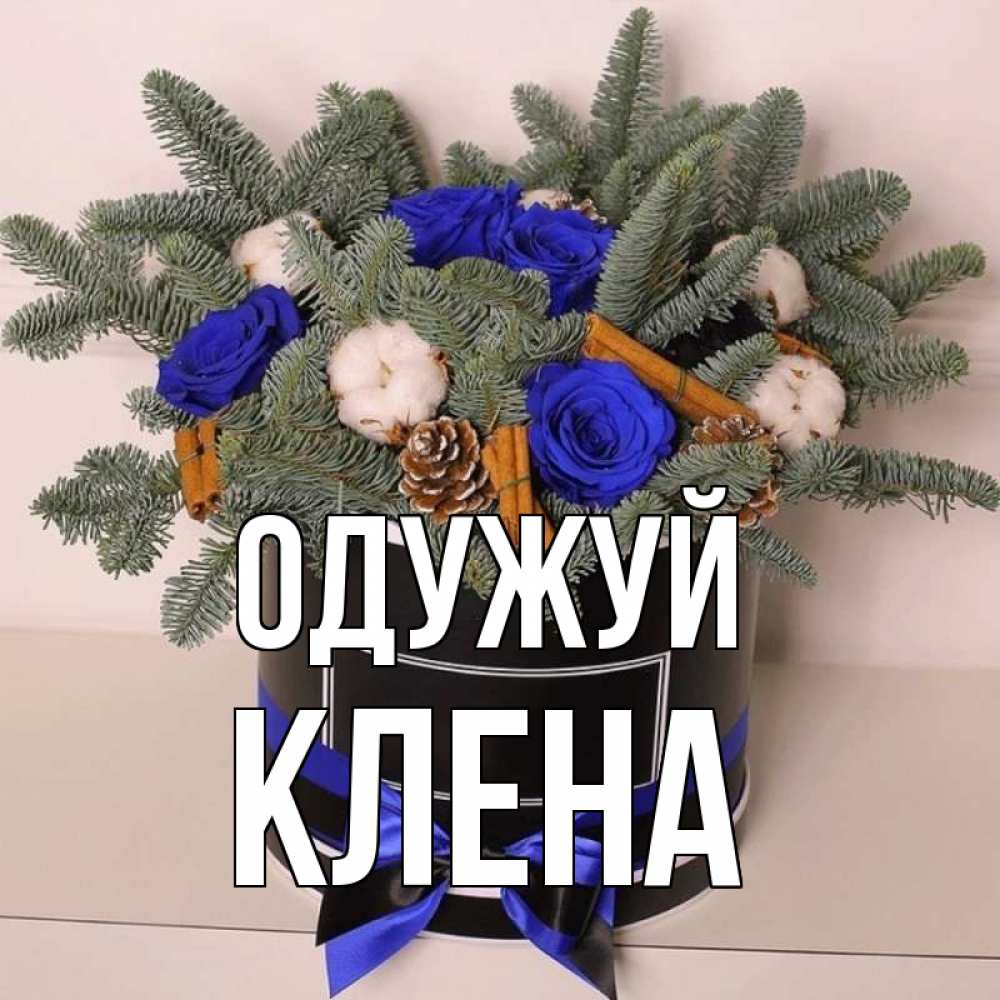 Открытка на каждый день з підписом, Клена Одужуй короче кто то загрузил эти шишки Прикольна листівка з побажанням онлайн скачати безкоштовно 