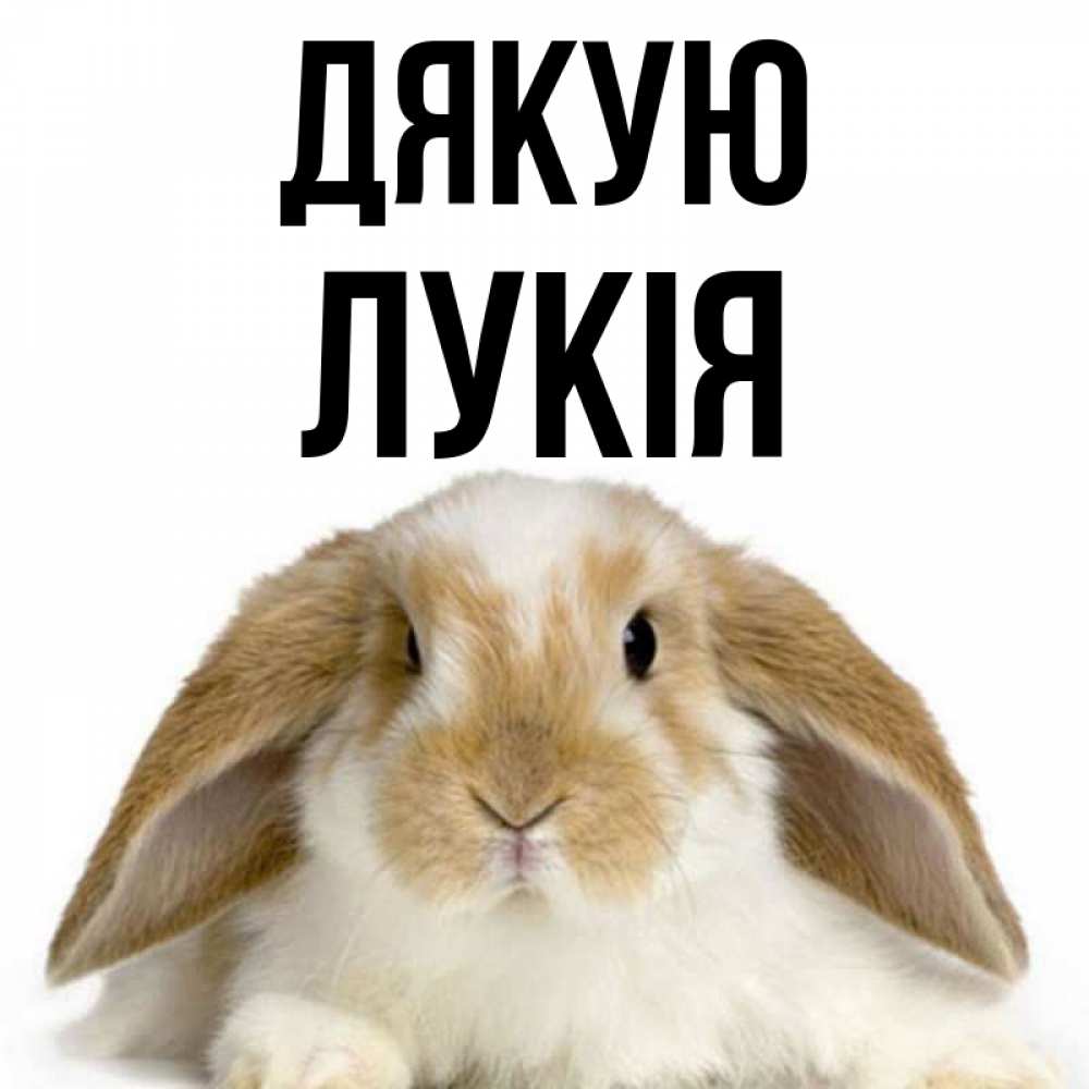 Открытка на каждый день з підписом, Лукія Дякую коричнево белый заяц Прикольна листівка з побажанням онлайн скачати безкоштовно 