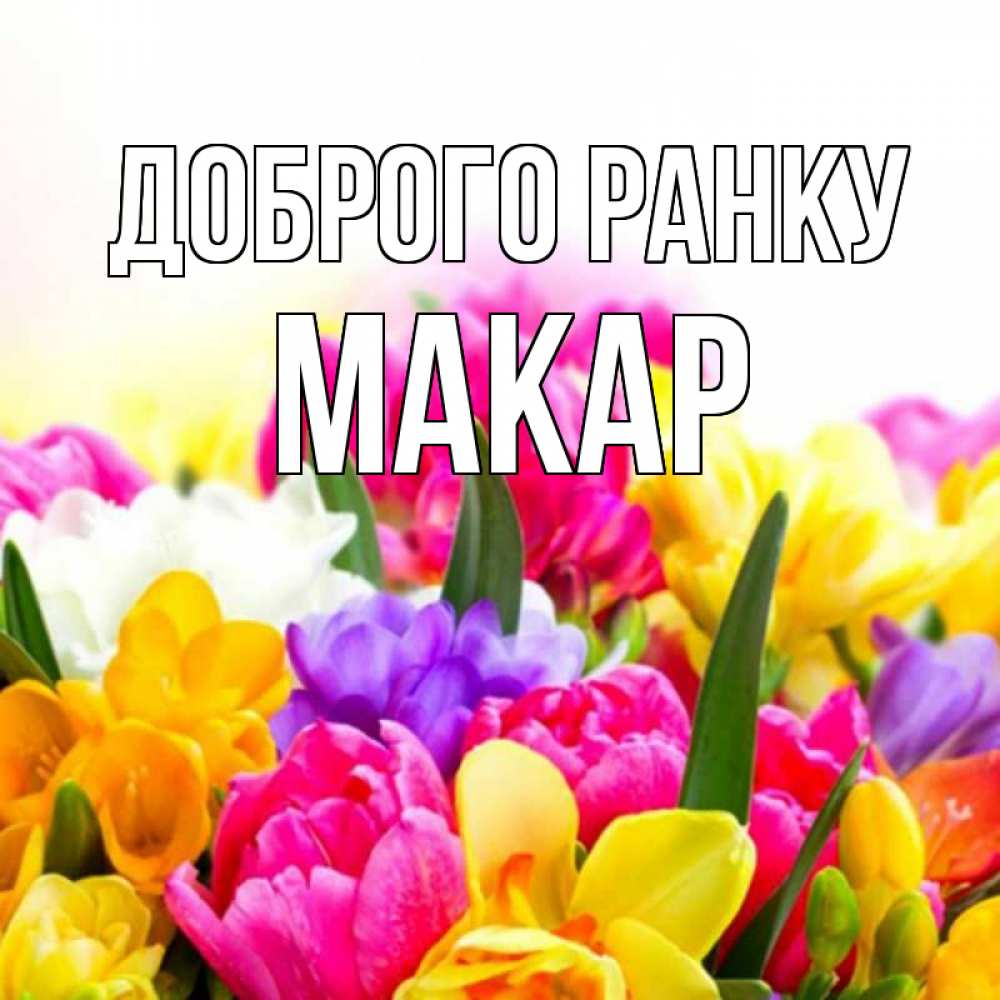 Открытка на каждый день з підписом, Макар Доброго ранку создать открытку со свое подписью Прикольна листівка з побажанням онлайн скачати безкоштовно 