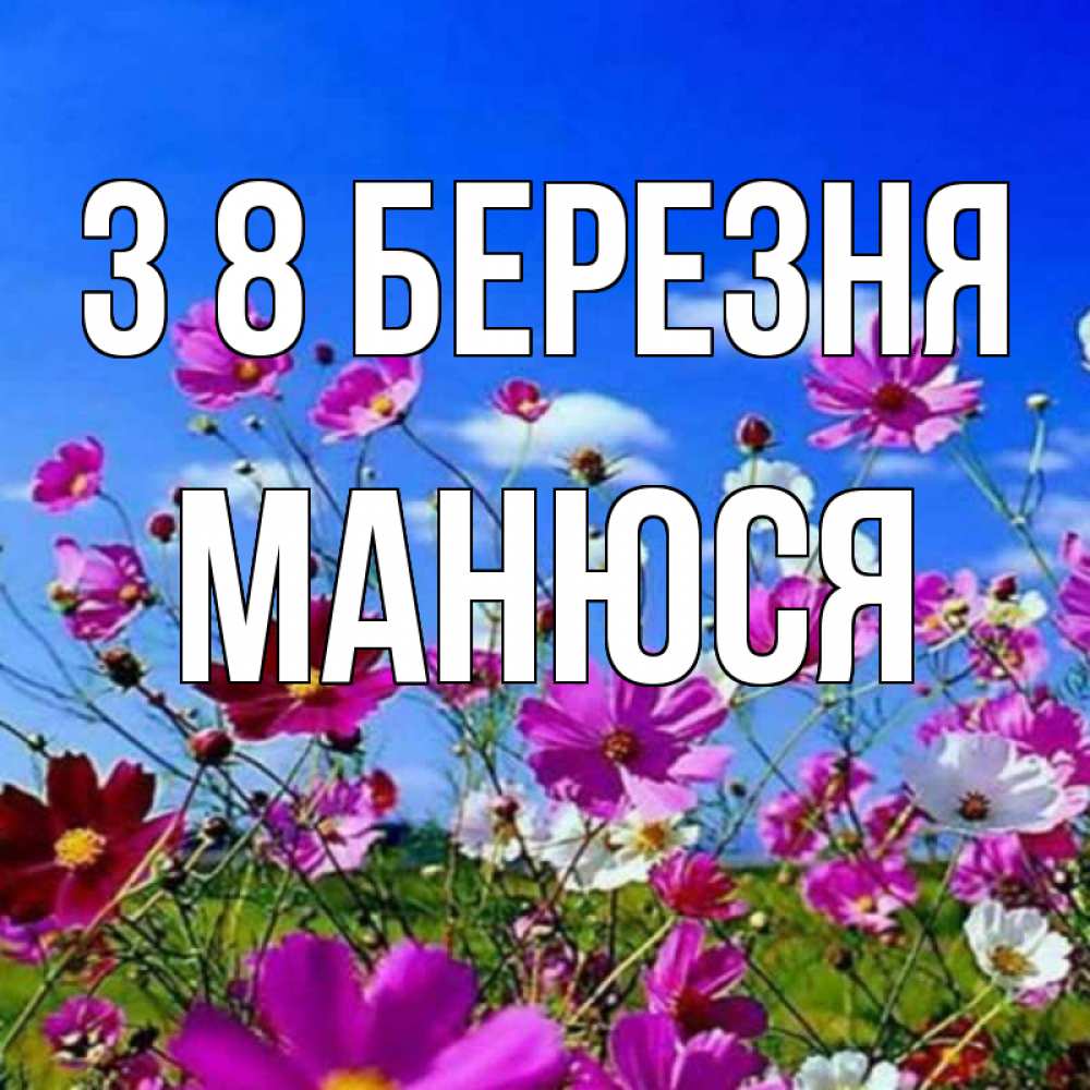 Открытка на каждый день з підписом, Манюся З 8 БЕРЕЗНЯ цветы Прикольна листівка з побажанням онлайн скачати безкоштовно 