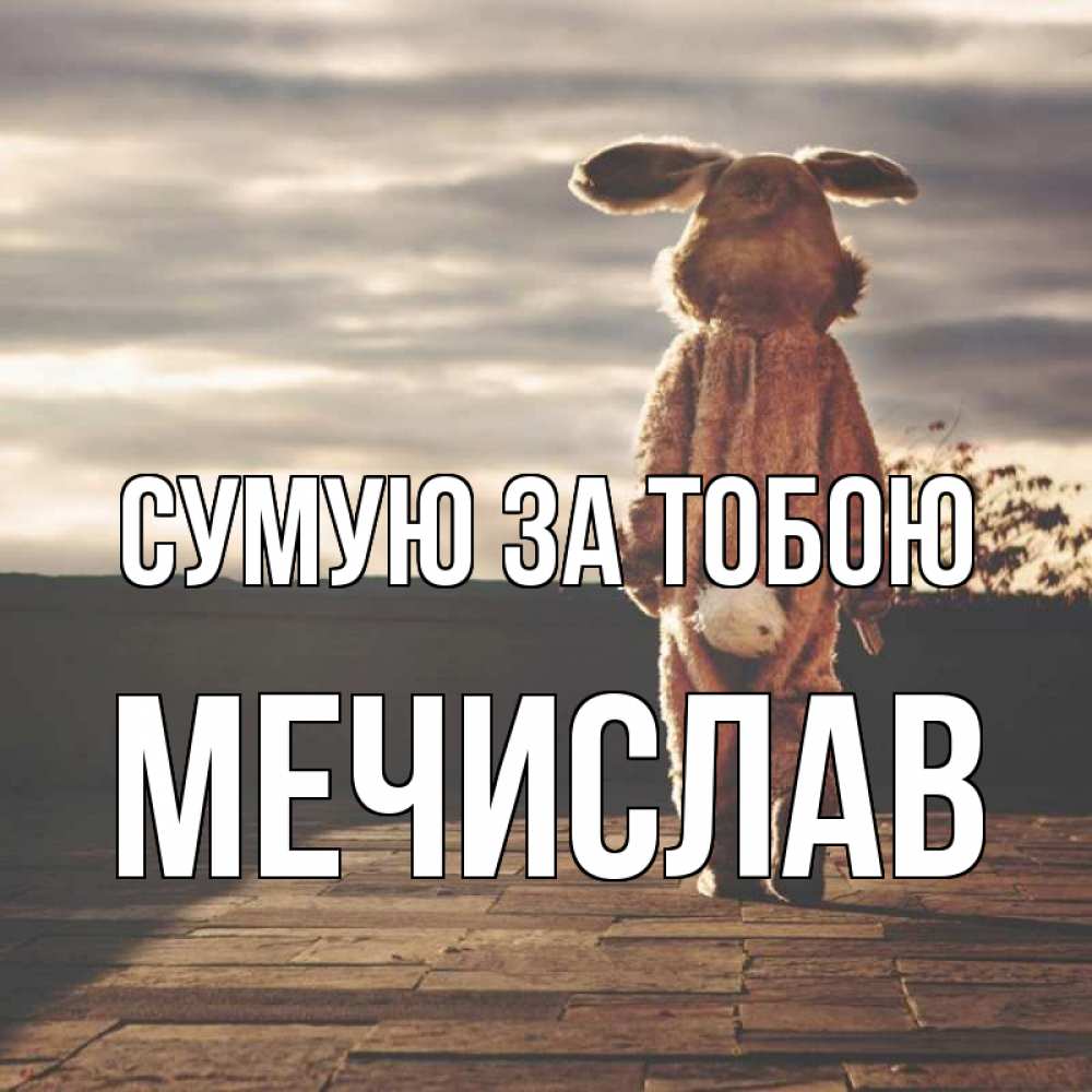 Открытка на каждый день з підписом, Мечислав Сумую за тобою даже в костюме зайца Прикольна листівка з побажанням онлайн скачати безкоштовно 