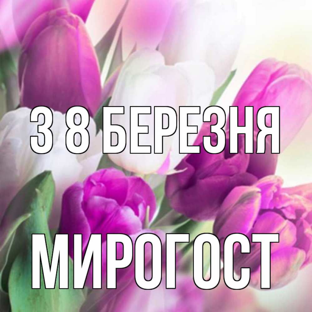 Открытка на каждый день з підписом, Мирогост З 8 БЕРЕЗНЯ весна 1 Прикольна листівка з побажанням онлайн скачати безкоштовно 