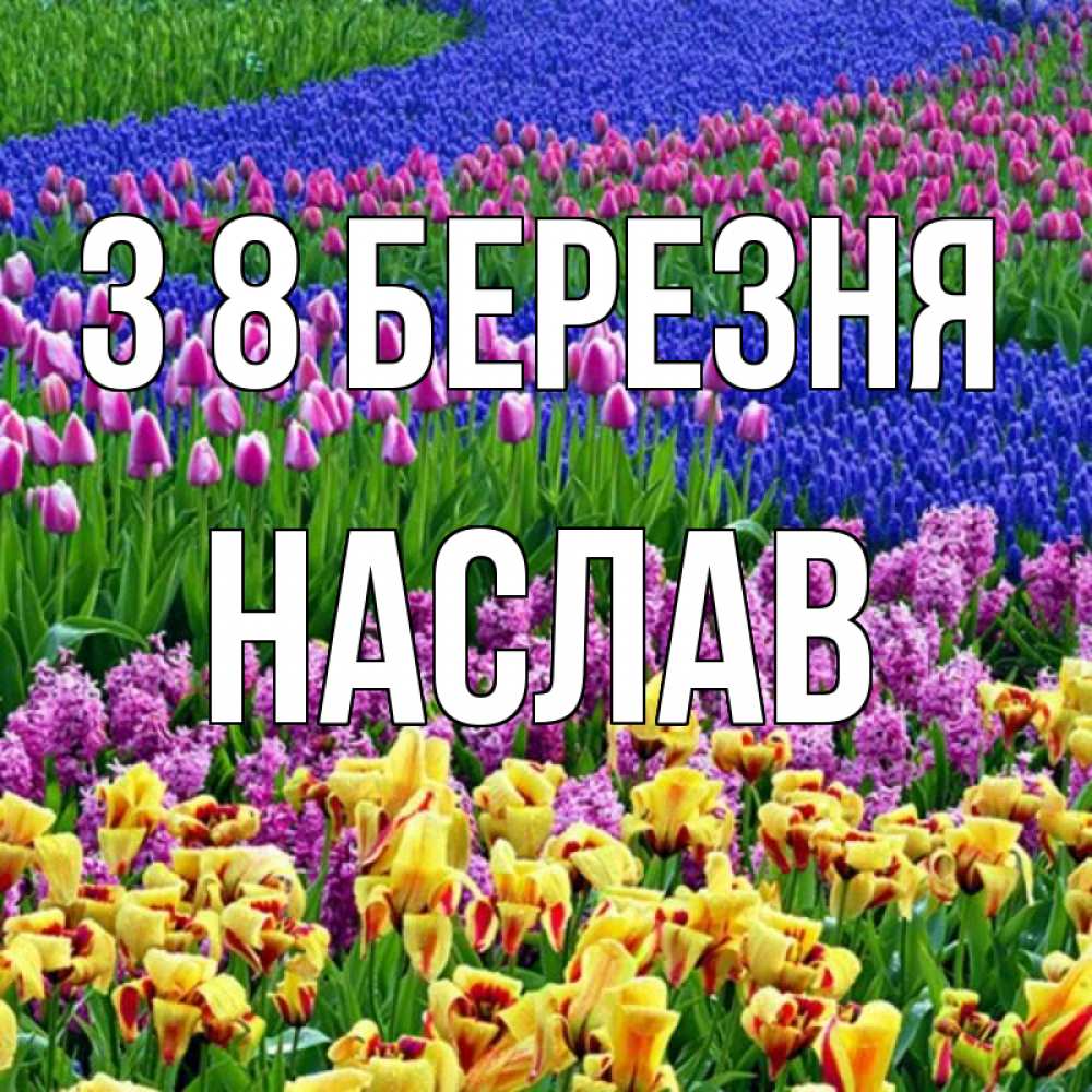Открытка на каждый день з підписом, Наслав З 8 БЕРЕЗНЯ цветы Прикольна листівка з побажанням онлайн скачати безкоштовно 