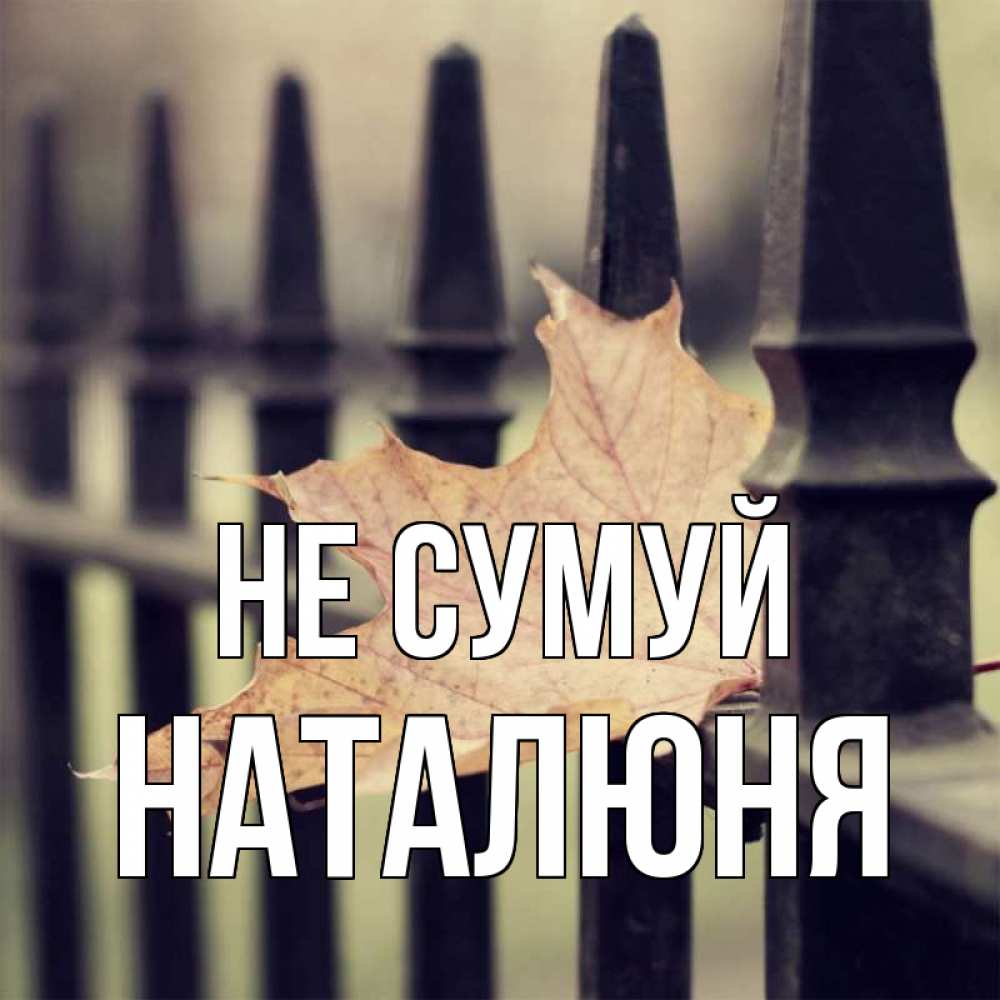 Открытка на каждый день з підписом, Наталюня Не сумуй лист клена Прикольна листівка з побажанням онлайн скачати безкоштовно 