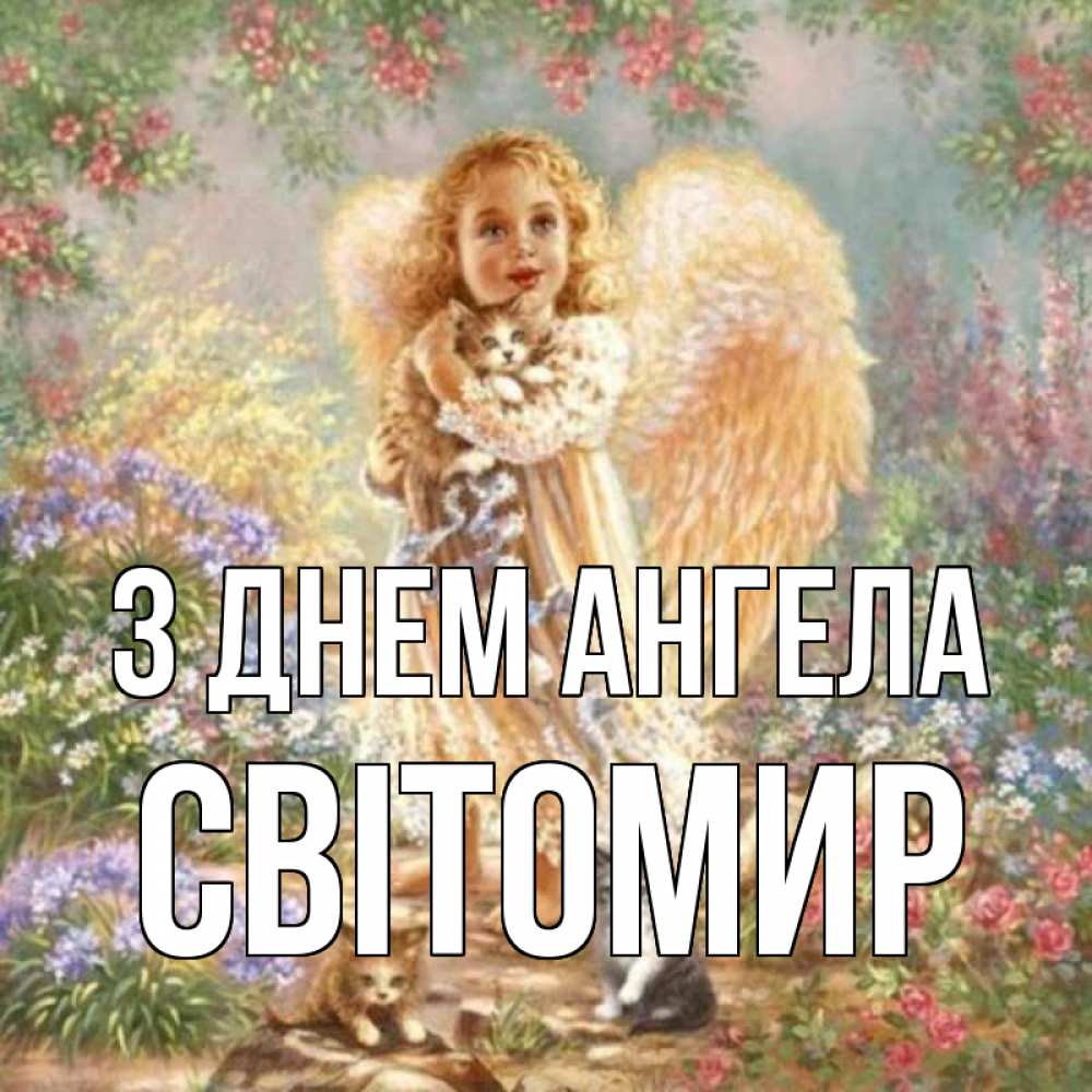 Открытка на каждый день з підписом, Світомир З Днем ангела держит котенка Прикольна листівка з побажанням онлайн скачати безкоштовно 