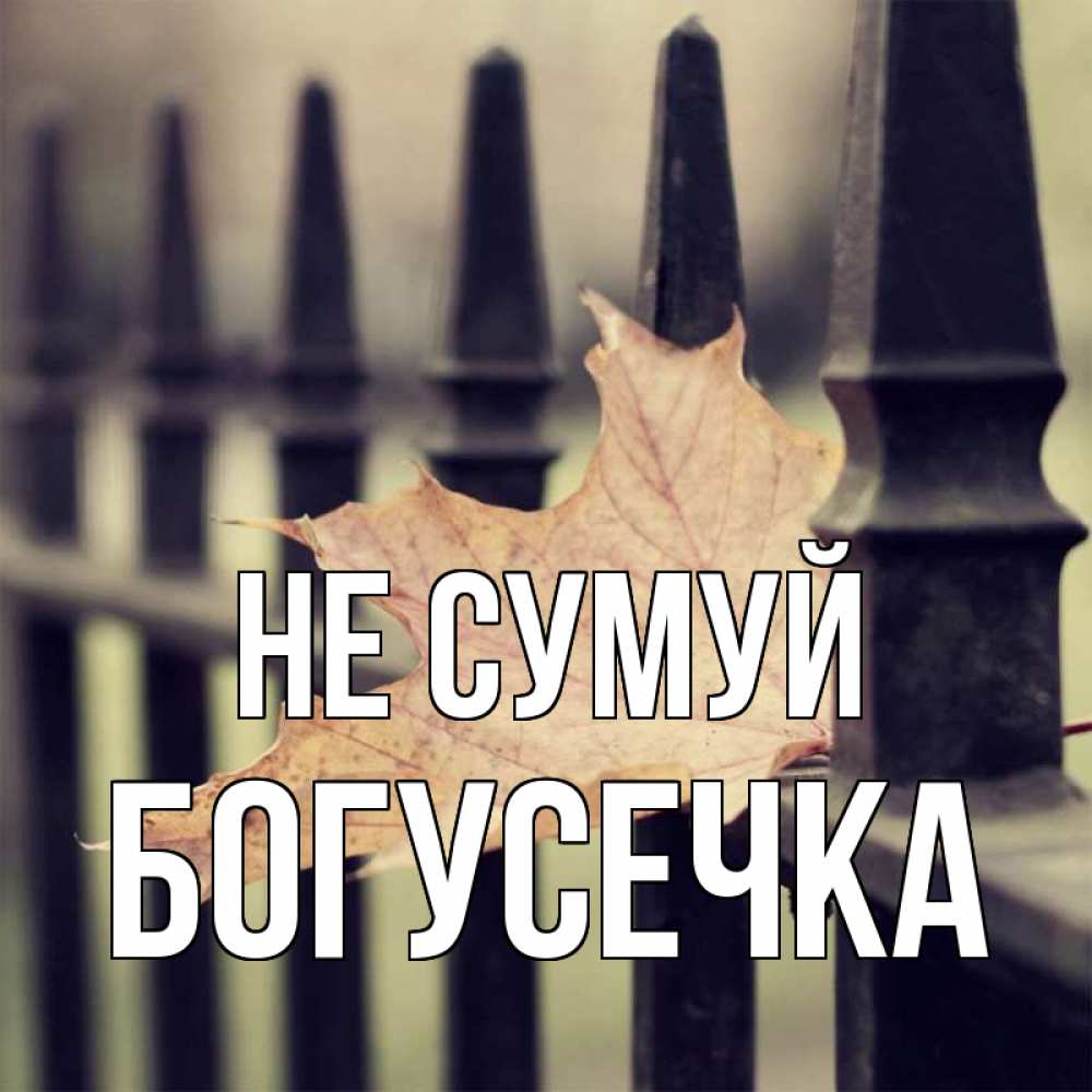 Открытка на каждый день з підписом, Богусечка Не сумуй лист клена Прикольна листівка з побажанням онлайн скачати безкоштовно 