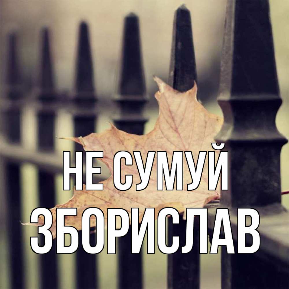 Открытка на каждый день з підписом, Зборислав Не сумуй лист клена Прикольна листівка з побажанням онлайн скачати безкоштовно 